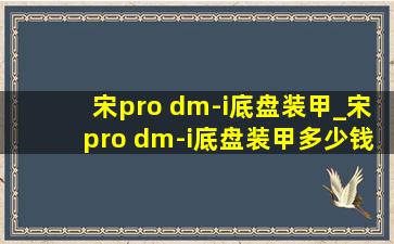 宋pro dm-i底盘装甲_宋pro dm-i底盘装甲多少钱